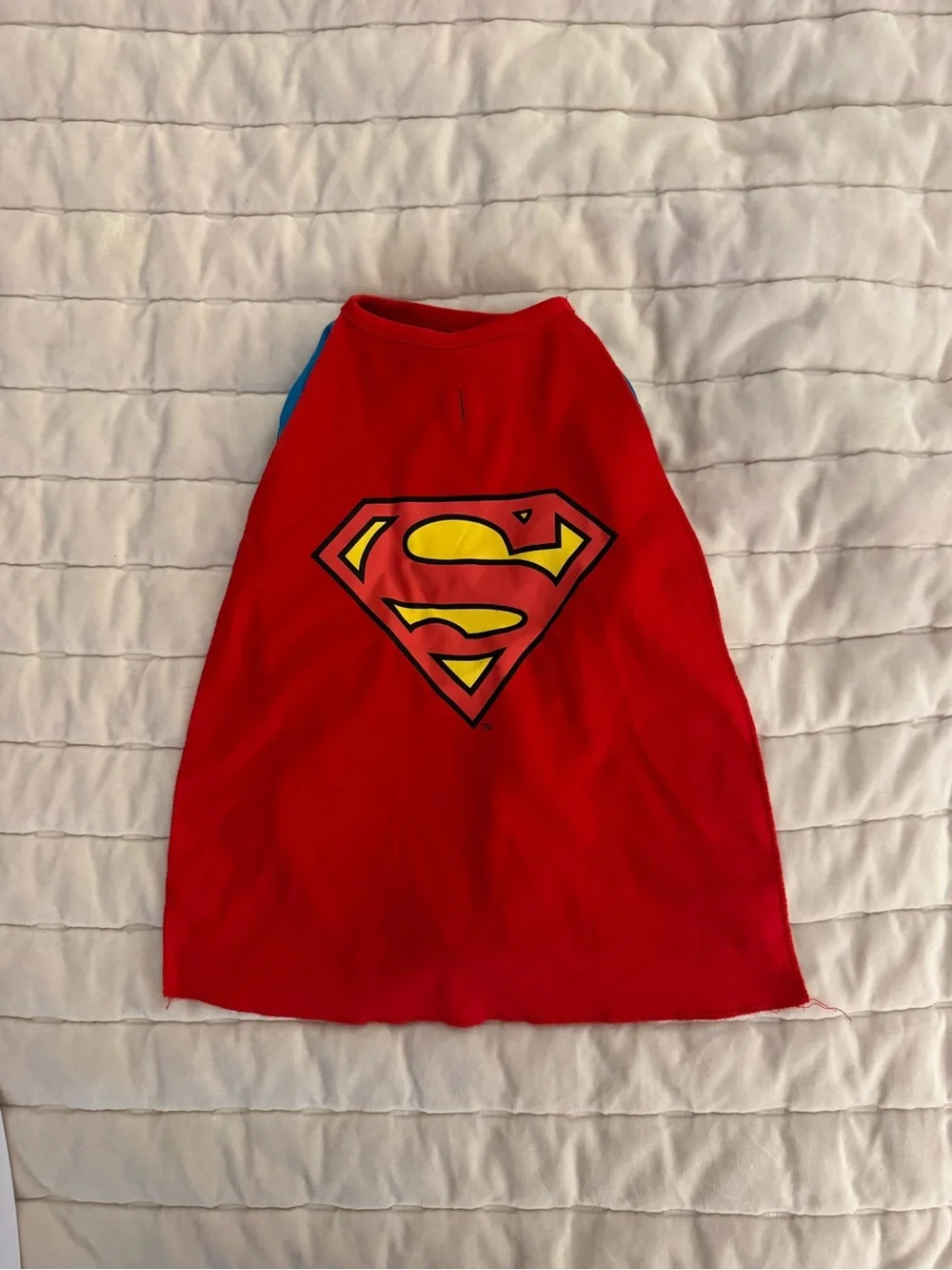DC Comics Blue & Red Dog Superman Cape Costume Size Small